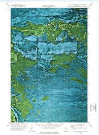 Head of Rapid River Minnesota Historical topographic map, 1:24000 scale, 7.5 X 7.5 Minute, Year 1973