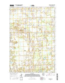 Henning SE Minnesota Current topographic map, 1:24000 scale, 7.5 X 7.5 Minute, Year 2016