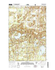 Idington Minnesota Current topographic map, 1:24000 scale, 7.5 X 7.5 Minute, Year 2016