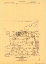 International Falls Minnesota Historical topographic map, 1:62500 scale, 15 X 15 Minute, Year 1919