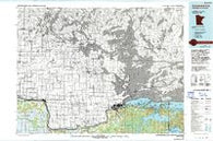 International Falls Minnesota Historical topographic map, 1:100000 scale, 30 X 60 Minute, Year 1978