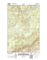 Isaac Lake Minnesota Historical topographic map, 1:24000 scale, 7.5 X 7.5 Minute, Year 2013