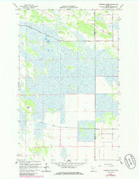 Juneberry Ridge Minnesota Historical topographic map, 1:24000 scale, 7.5 X 7.5 Minute, Year 1966