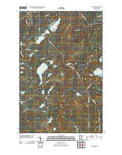 King Lake Minnesota Historical topographic map, 1:24000 scale, 7.5 X 7.5 Minute, Year 2010