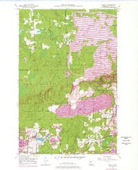 Kinney Minnesota Historical topographic map, 1:24000 scale, 7.5 X 7.5 Minute, Year 1951