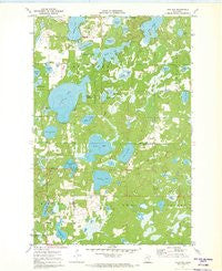 Lake Ada Minnesota Historical topographic map, 1:24000 scale, 7.5 X 7.5 Minute, Year 1971