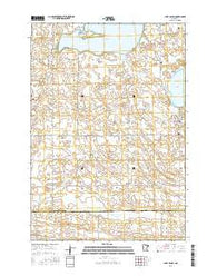 Lake Lillian Minnesota Current topographic map, 1:24000 scale, 7.5 X 7.5 Minute, Year 2016
