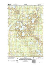 Lawrence Lake East Minnesota Historical topographic map, 1:24000 scale, 7.5 X 7.5 Minute, Year 2013