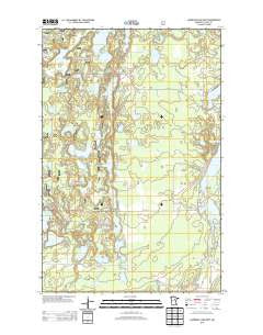 Lawrence Lake West Minnesota Historical topographic map, 1:24000 scale, 7.5 X 7.5 Minute, Year 2013