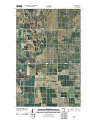 Leo Minnesota Historical topographic map, 1:24000 scale, 7.5 X 7.5 Minute, Year 2010