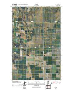 Leo Minnesota Historical topographic map, 1:24000 scale, 7.5 X 7.5 Minute, Year 2010