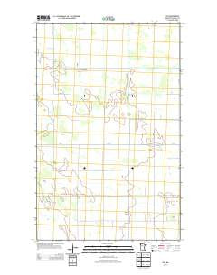 Leo Minnesota Historical topographic map, 1:24000 scale, 7.5 X 7.5 Minute, Year 2013