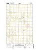 Leo Minnesota Current topographic map, 1:24000 scale, 7.5 X 7.5 Minute, Year 2016