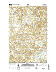 Leonard Minnesota Current topographic map, 1:24000 scale, 7.5 X 7.5 Minute, Year 2016
