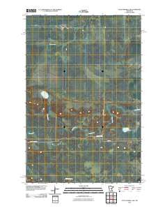 Little Prairie Lake Minnesota Historical topographic map, 1:24000 scale, 7.5 X 7.5 Minute, Year 2010