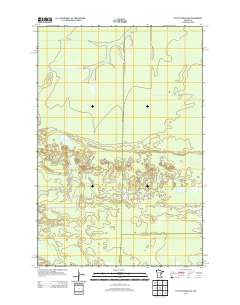 Little Prairie Lake Minnesota Historical topographic map, 1:24000 scale, 7.5 X 7.5 Minute, Year 2013