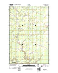 Little Swan Minnesota Historical topographic map, 1:24000 scale, 7.5 X 7.5 Minute, Year 2013
