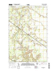 Little Swan Minnesota Current topographic map, 1:24000 scale, 7.5 X 7.5 Minute, Year 2016