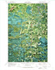 Littlefork SE Minnesota Historical topographic map, 1:24000 scale, 7.5 X 7.5 Minute, Year 1970