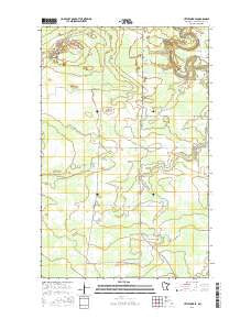 Littlefork SE Minnesota Current topographic map, 1:24000 scale, 7.5 X 7.5 Minute, Year 2016