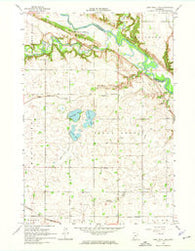 Lone Tree Lake Minnesota Historical topographic map, 1:24000 scale, 7.5 X 7.5 Minute, Year 1965