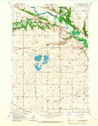 Lone Tree Lake Minnesota Historical topographic map, 1:24000 scale, 7.5 X 7.5 Minute, Year 1965