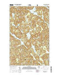 Marion Lake Minnesota Current topographic map, 1:24000 scale, 7.5 X 7.5 Minute, Year 2016