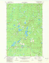 Mitawan Lake Minnesota Historical topographic map, 1:24000 scale, 7.5 X 7.5 Minute, Year 1981