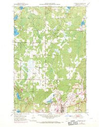 Nashwauk Minnesota Historical topographic map, 1:24000 scale, 7.5 X 7.5 Minute, Year 1952