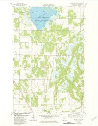 Nelson Slough Minnesota Historical topographic map, 1:24000 scale, 7.5 X 7.5 Minute, Year 1982