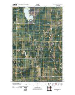 Nelson Slough Minnesota Historical topographic map, 1:24000 scale, 7.5 X 7.5 Minute, Year 2010