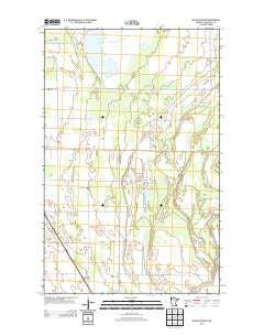 Nelson Slough Minnesota Historical topographic map, 1:24000 scale, 7.5 X 7.5 Minute, Year 2013