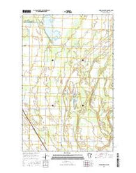 Nelson Slough Minnesota Current topographic map, 1:24000 scale, 7.5 X 7.5 Minute, Year 2016