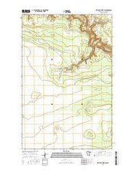 Nett Lake River SW Minnesota Current topographic map, 1:24000 scale, 7.5 X 7.5 Minute, Year 2016