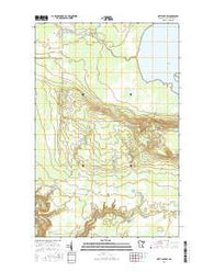 Nett Lake SW Minnesota Current topographic map, 1:24000 scale, 7.5 X 7.5 Minute, Year 2016
