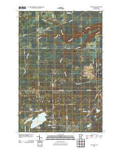 Nickerson Minnesota Historical topographic map, 1:24000 scale, 7.5 X 7.5 Minute, Year 2010