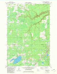 Nickerson Minnesota Historical topographic map, 1:24000 scale, 7.5 X 7.5 Minute, Year 1981