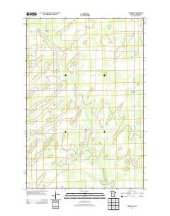 Nimrod SW Minnesota Historical topographic map, 1:24000 scale, 7.5 X 7.5 Minute, Year 2013