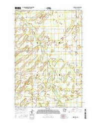 Nimrod SW Minnesota Current topographic map, 1:24000 scale, 7.5 X 7.5 Minute, Year 2016
