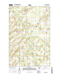 Nimrod SW Minnesota Current topographic map, 1:24000 scale, 7.5 X 7.5 Minute, Year 2016