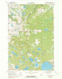 North Twin Lake Minnesota Historical topographic map, 1:24000 scale, 7.5 X 7.5 Minute, Year 1969