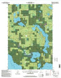 Pimushe Lake Minnesota Historical topographic map, 1:24000 scale, 7.5 X 7.5 Minute, Year 1996