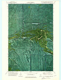 Pine Island Lookout Tower Minnesota Historical topographic map, 1:24000 scale, 7.5 X 7.5 Minute, Year 1973