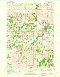 Pine Island Minnesota Historical topographic map, 1:24000 scale, 7.5 X 7.5 Minute, Year 1965