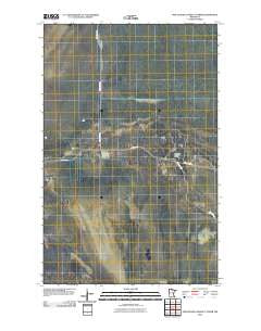 Pine Island Lookout Tower Minnesota Historical topographic map, 1:24000 scale, 7.5 X 7.5 Minute, Year 2010