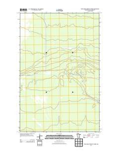 Pine Island Lookout Tower Minnesota Historical topographic map, 1:24000 scale, 7.5 X 7.5 Minute, Year 2013