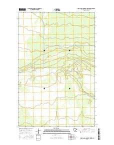 Pine Island Lookout Tower Minnesota Current topographic map, 1:24000 scale, 7.5 X 7.5 Minute, Year 2016