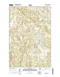 Pine River SW Minnesota Current topographic map, 1:24000 scale, 7.5 X 7.5 Minute, Year 2016