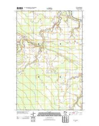 Pitt Minnesota Historical topographic map, 1:24000 scale, 7.5 X 7.5 Minute, Year 2013