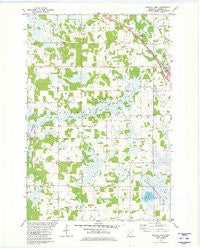Randall West Minnesota Historical topographic map, 1:24000 scale, 7.5 X 7.5 Minute, Year 1981